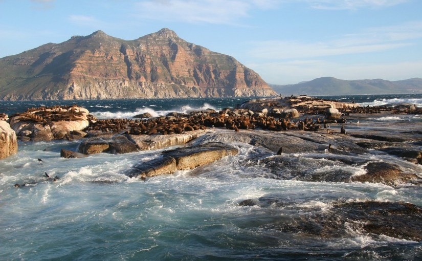 A dry white season · André&nbsp;Brink