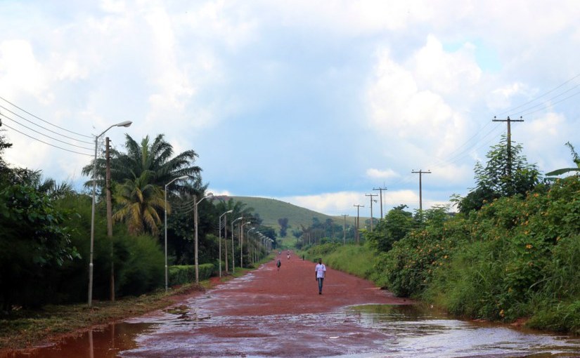 Purple Hibiscus · Chimamanda Ngozie&nbsp;Adichie