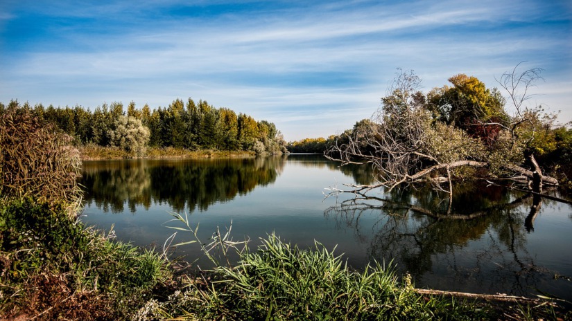 Mudwoman · Joyce Carol&nbsp;Oates