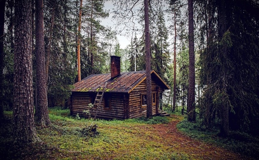 Dérive sanglante · William G.&nbsp;Tapply