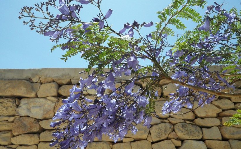 Tous tes enfants dispersés · Beata Umubyeyi&nbsp;Mairesse