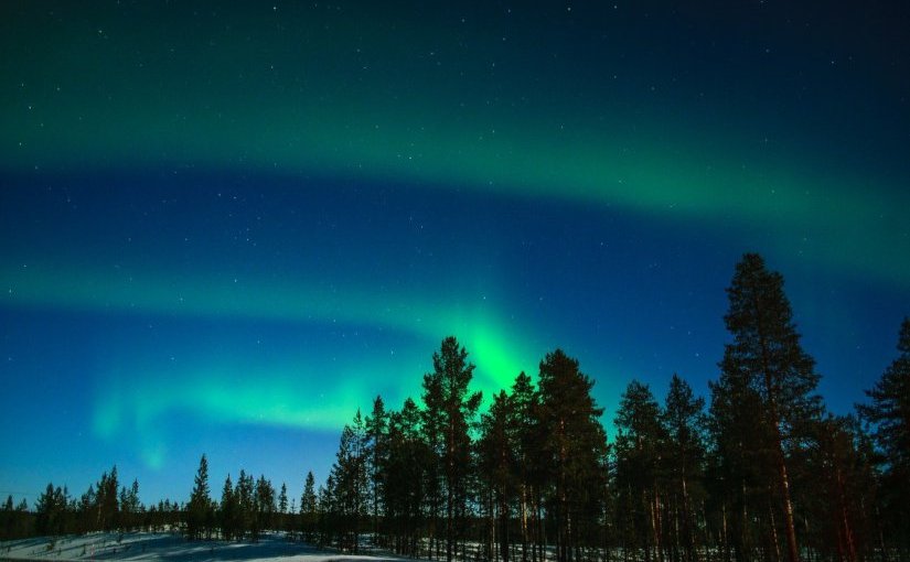 Le dernier Lapon · Olivier&nbsp;Truc