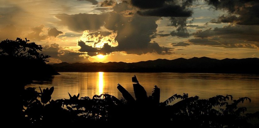 Je suis le fleuve · T. E.&nbsp;Grau