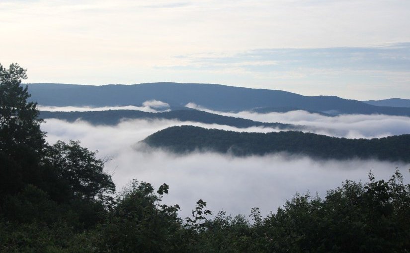 Sugar Run · Mesha&nbsp;Maren