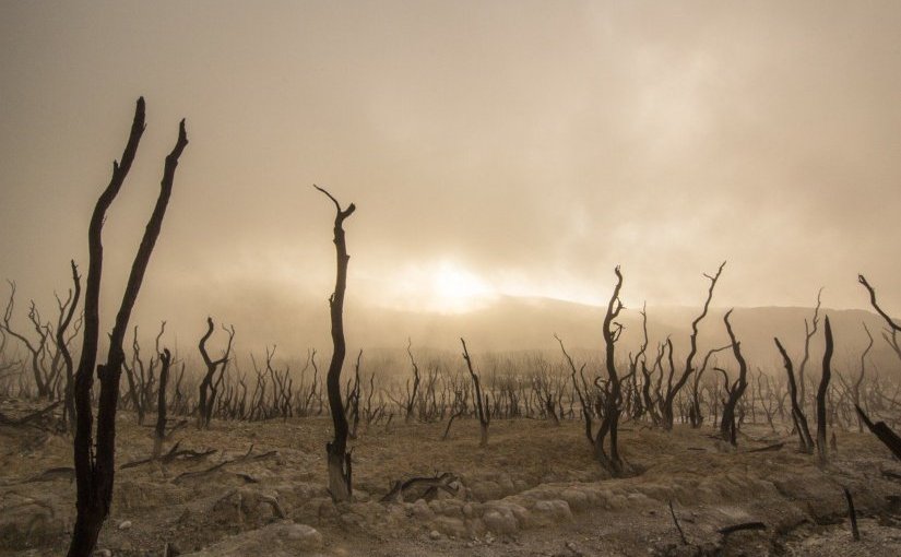 La revanche des orages · Sébastien&nbsp;Spitzer