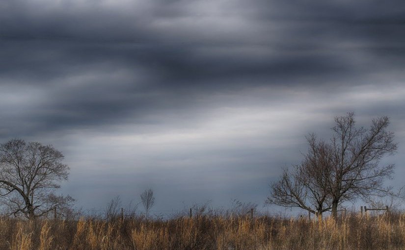 Tous les vivants · C. E.&nbsp;Morgan