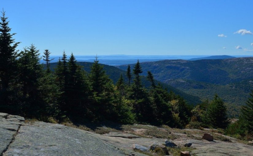 Dark Tiger · William G.&nbsp;Tapply