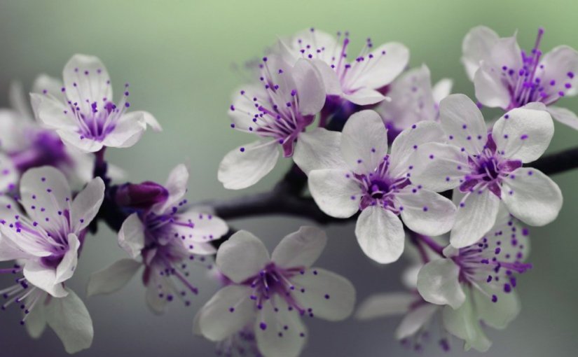 Bilan mensuel · mars&nbsp;2021