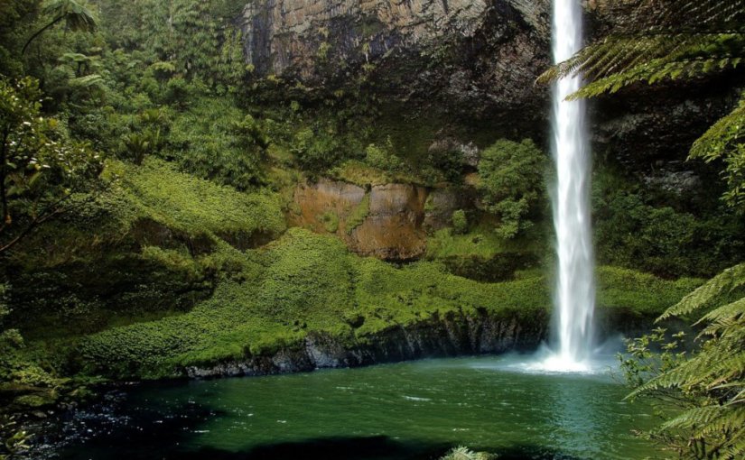 Une falaise au bout du monde · Carl&nbsp;Nixon