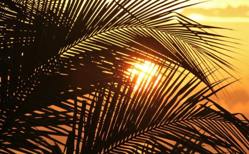 Rends-moi fière · Nicole&nbsp;Dennis-Benn