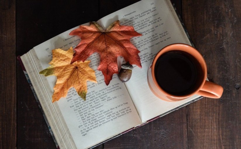 Bilan mensuel · novembre&nbsp;2021