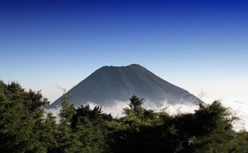 Défriche coupe brûle · Claudia&nbsp;Hernández