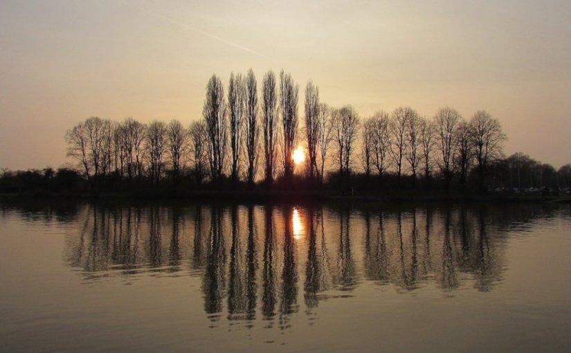 L&rsquo;équarrisseur · Nadine&nbsp;Matheson