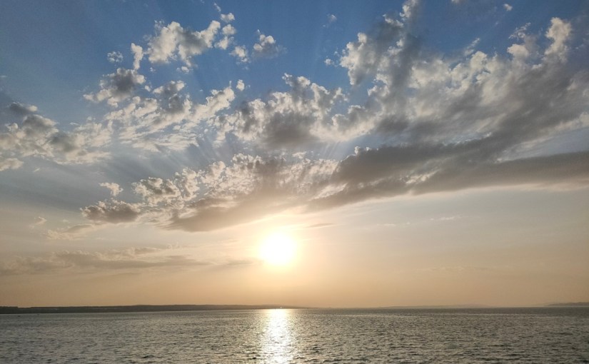 Bilan et best of&nbsp;2021