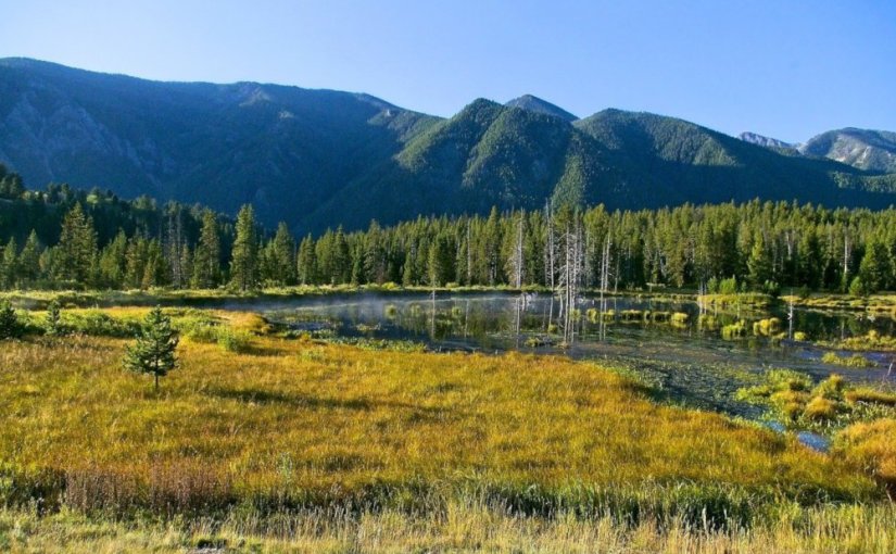 Montana 1948 · Larry&nbsp;Watson