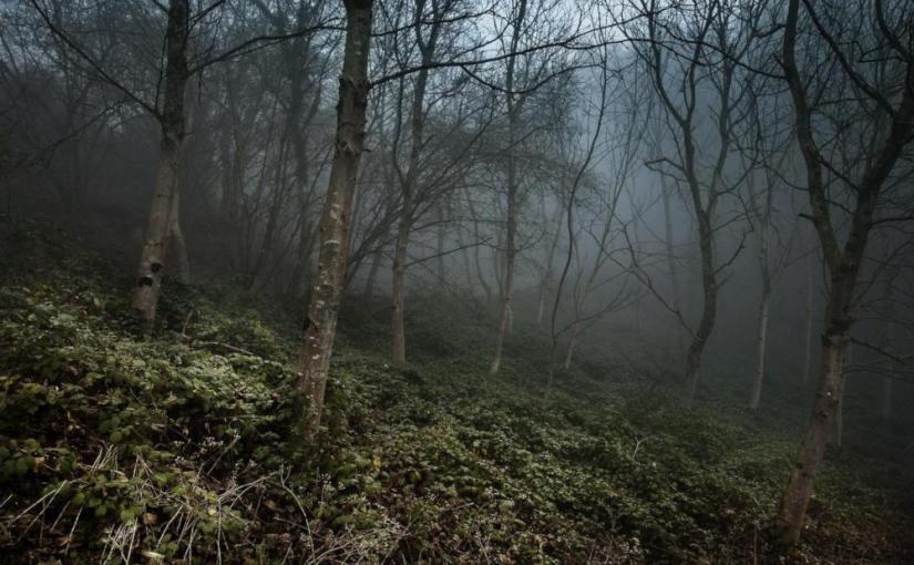 Entendez-vous dans les campagnes · Ahmed&nbsp;Tiab