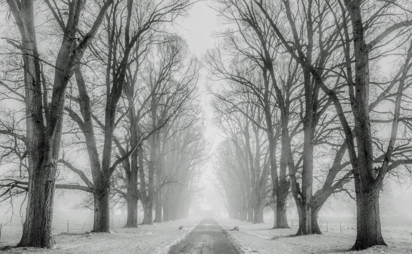 Les femmes du North End · Katherena&nbsp;Vermette