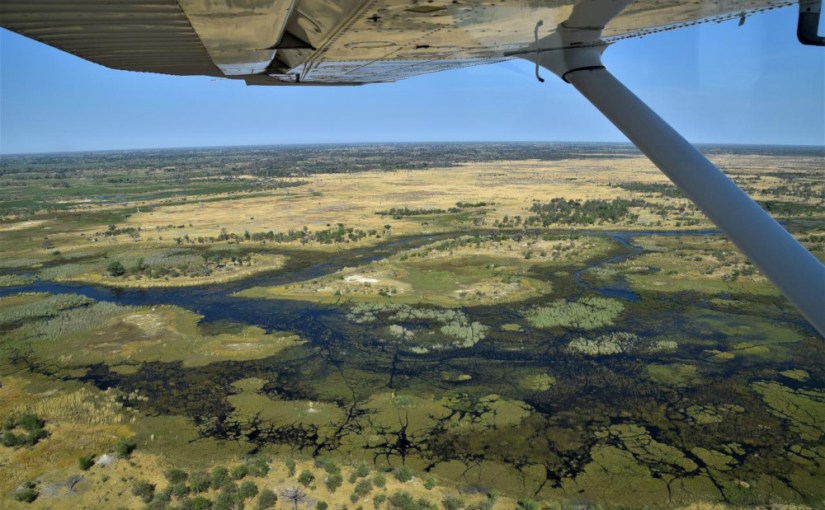 L&rsquo;Ile des Rois · Soline Lippe de&nbsp;Thoisy