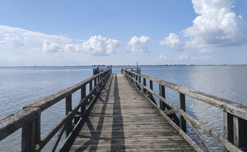 Am dunklen Wasser · Eva&nbsp;Almstädt
