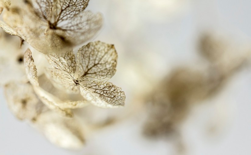 Consolée · Beata Umubyeyi&nbsp;Mairesse