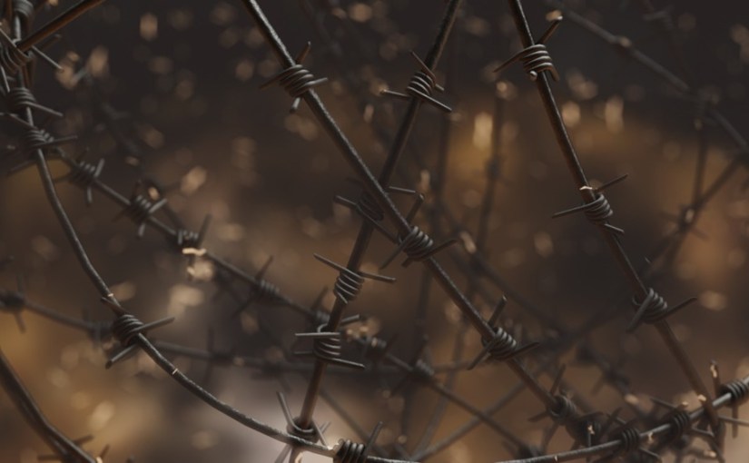 Die vergessene Heimat · Deana&nbsp;Zinßmeister