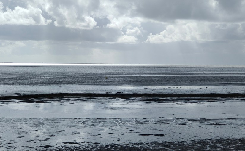 L&rsquo;homme au cheval blanc · Theodor&nbsp;Storm