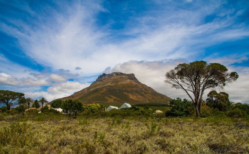 Que quelqu&rsquo;un le fasse! · Soline Lippe de&nbsp;Thoisy