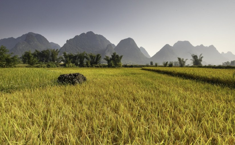 Le Grand Monde · Pierre&nbsp;Lemaitre