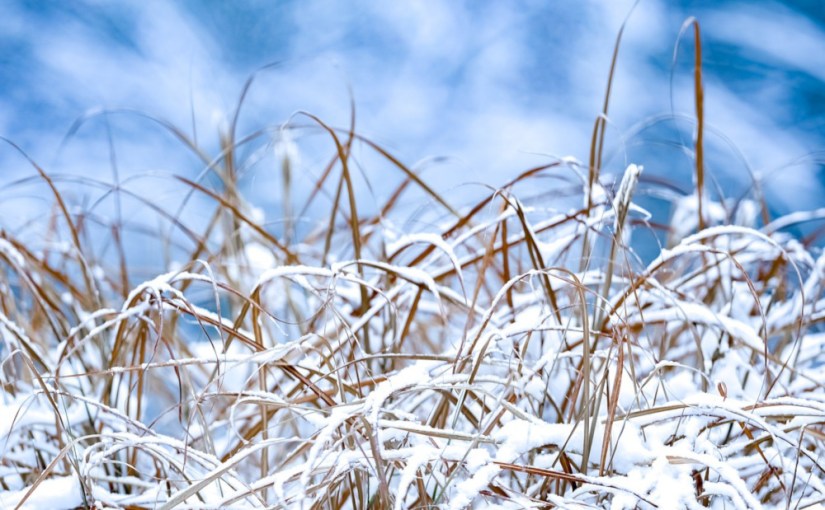 Bilan · février 2023