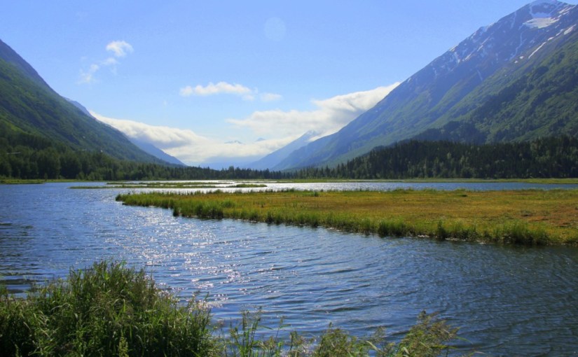 On était des loups · Sandrine&nbsp;Collette