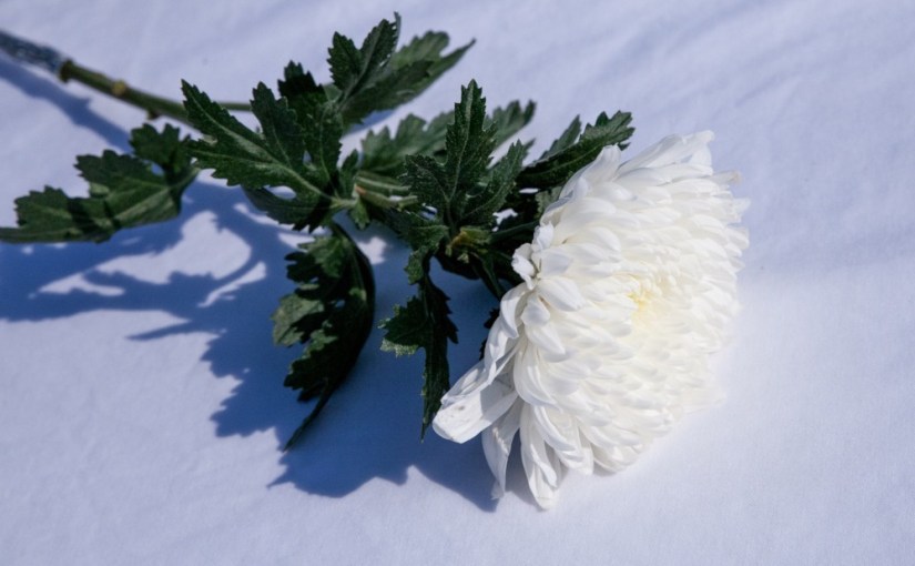 L&rsquo;Impératrice de Pierre · Kristina&nbsp;Sabaliauskaité