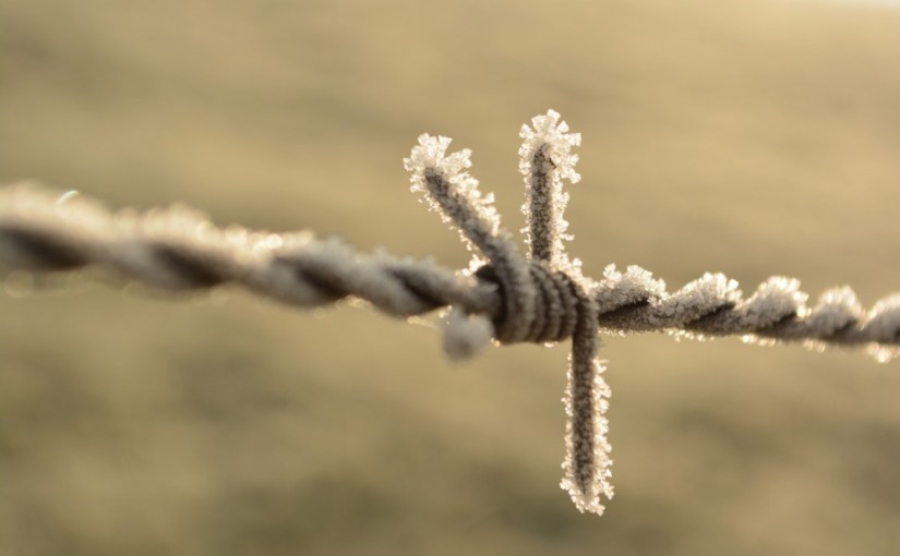 Les enfants Oppermann · Lion&nbsp;Feuchtwanger