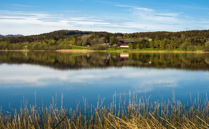 La roue tourne · Christian Salamin & Natacha de&nbsp;Santignac