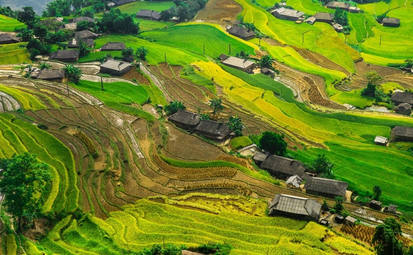 L&rsquo;effacement · Mayyu Ali & Emilie&nbsp;Lopes