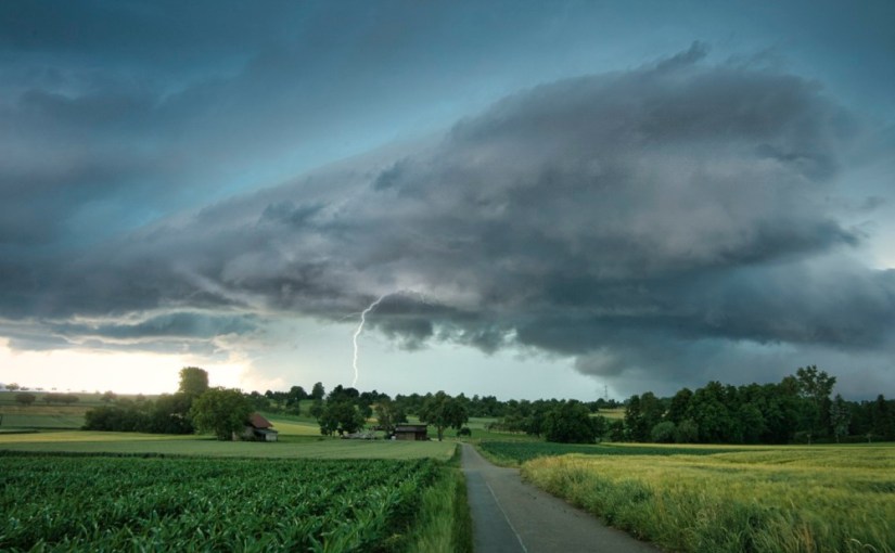 Quand j&rsquo;avais dix ans · Fiona&nbsp;Cummins