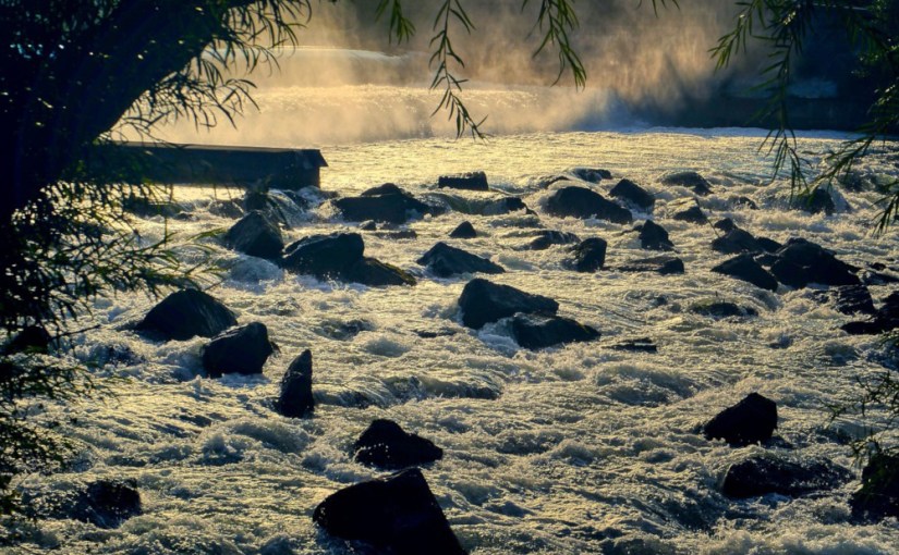 Le Silence et la Colère · Pierre Lemaitre 