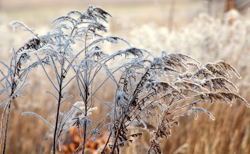 Bilan · janvier 2024 