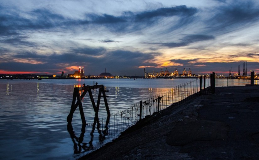 Quand le chat n&rsquo;est pas là… · M. J.&nbsp;Arlidge