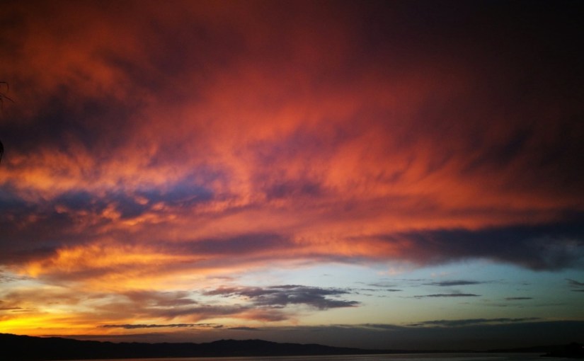 Tremble la nuit · Nadia&nbsp;Terranova