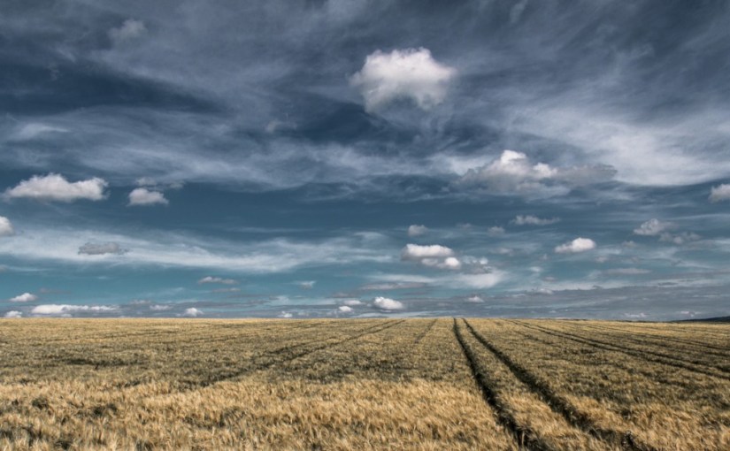 Un travail comme un autre · Virginia&nbsp;Reeves