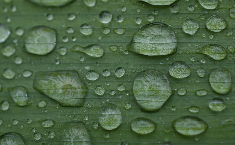 Bilan · juin 2024